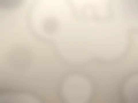 O pedido