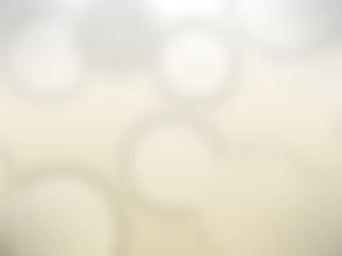 O primeiro encontro